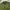 Columbia Casual Polo shirt Pria green photo 2