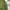 Columbia Casual Polo shirt Pria green photo 4
