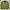 Columbia Casual Polo shirt Pria green photo 5