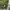 Columbia Casual Polo shirt Pria green photo 3