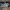 Diadora Sportswear Sneakers Wanita white green photo 2