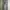 Nike Streetwear Sportswear Pria gray photo 1