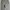 Nike Streetwear Sportswear Pria gray photo 3