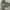 Y2K Casual Tracksuit Pria gray photo 4