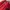 Streetwear Y2K Swimwear Pria red black photo 1