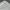 Lacoste Luxury Casual Windbreaker Pria white photo 2