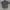 Beams Luxury Casual Casual shirt Pria multicolor photo 7