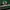 Canterbury Streetwear Y2K Polo shirt Pria white green photo 2