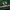 Canterbury Streetwear Y2K Polo Shirt Pria White Green