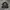Versace Vintage Sportswear Windbreaker Pria black photo 7