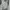 Champion Streetwear Casual Hoody Pria gray photo 1