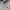 Champion Streetwear Casual Hoody Pria gray photo 4