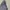 Casual Casual trouser Wanita gray photo 3