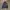 Versace Vintage Luxury Windbreaker Pria navy photo 1