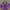 Adidas Vintage Sportswear Track jacket Pria purple photo 2
