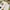 Polo Ralph Lauren Biker Jeans Pria white photo 6
