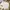 Polo Ralph Lauren Biker Jeans Pria White