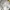Polo Ralph Lauren Biker Jeans Pria white photo 4