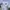 Champion Streetwear Casual Jumper Pria white photo 5