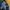 Casual Skirt Wanita multicolor photo 3