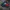 Umbro Y2K Gorpcore Windbreaker Pria navy photo 4