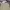 Dickies Streetwear Casual Casual pants Pria khaki photo 6