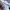 Adidas Sportswear Casual Jumper Pria multicolor white photo 8