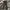 Dickies Streetwear Casual Casual pants Pria brown photo 4