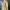 Carhartt Vintage Jumper Pria brown khaki photo 7