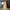 Carhartt Vintage Jumper Pria brown khaki photo 3