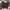 Dickies Streetwear Casual Casual pants Pria burgundy photo 1