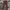 Dickies Streetwear Casual Casual pants Pria burgundy photo 5