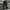 Dickies Streetwear Casual Casual pants Pria black photo 4