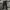 Dickies Streetwear Casual Casual pants Pria black photo 5