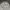 ZARA Vintage Casual Formal Pants Pria White