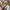Dr. Martens Streetwear Casual Loafer Pria white photo 6