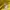 have a good time Casual Hoody Pria yellow photo 4
