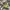 Clarks Streetwear Casual Pria khaki photo 1