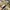Clarks Streetwear Casual Pria khaki photo 6