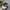 Dickies Y2K Casual Hat Pria multicolor photo 3