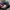 Dickies Y2K Casual Hat Pria multicolor photo 5