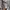 Vintage Y2K Maxi skirt Wanita tan brown photo 4