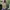 Vintage Y2K Cami top Wanita tan photo 2