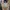 Vintage Y2K Cami top Wanita tan photo 4
