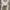 Shein Y2K Coquette Cami top Wanita white photo 4