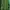 Millet Sportswear Jersey Wanita green gray photo 1