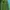 Millet Sportswear Jersey Wanita green gray photo 3