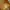 Birkenstock Luxury Sandals & slide Wanita orange photo 2