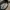 TUMI Luxury Bag Pria black photo 4