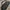 TUMI Luxury Bag Pria black photo 3